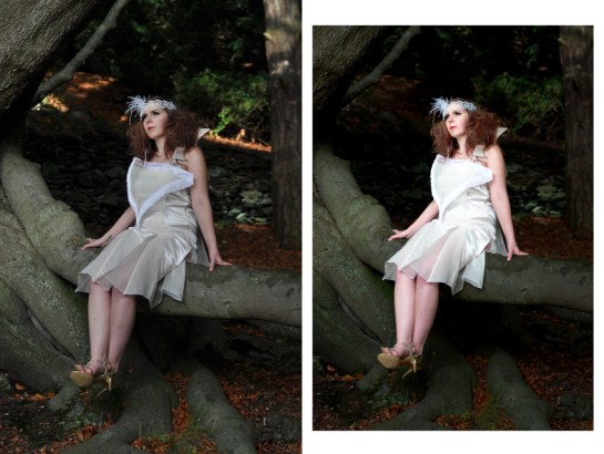 My favourite shot out of the set.  It shows the dress well and it's detail.  An almost fairytale look.  I have darkened the distracting background light and highlighted the dress (right).